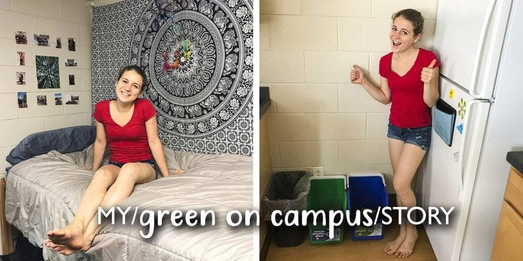 Green Dorm Room Ideas for Eco-Friendly Students