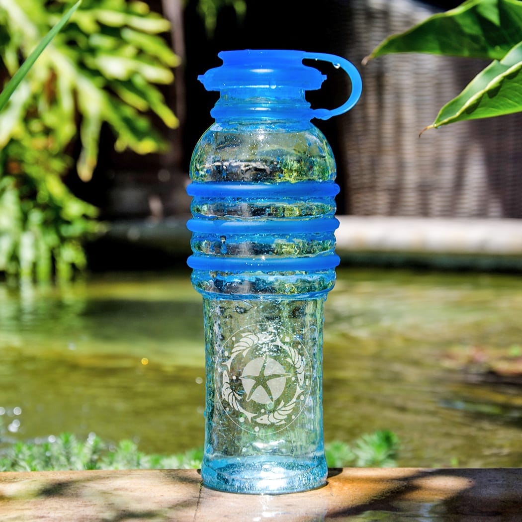 http://ecolunchboxes.com/cdn/shop/products/blue-water-bento-accessories-blue-starfish-bottlesup-glass-vessel-by-blue-water-bento-30217299460209_1200x.jpg?v=1663878444