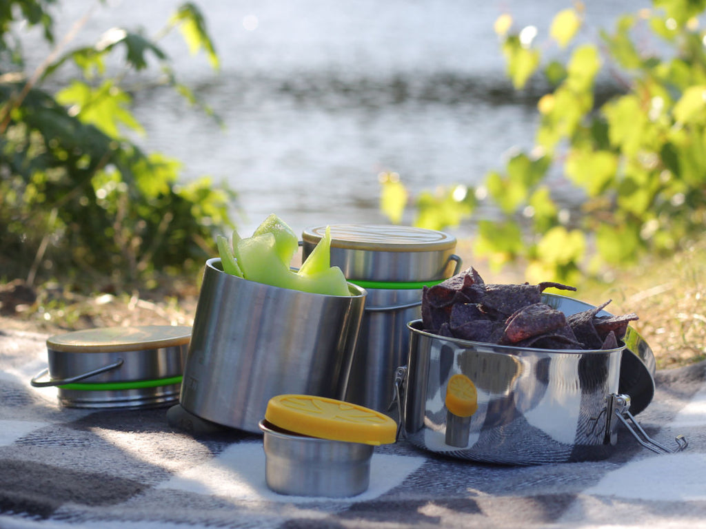 Stainless steel lunch containers with melon and tortilla chips on a picnic blanket at a lake.