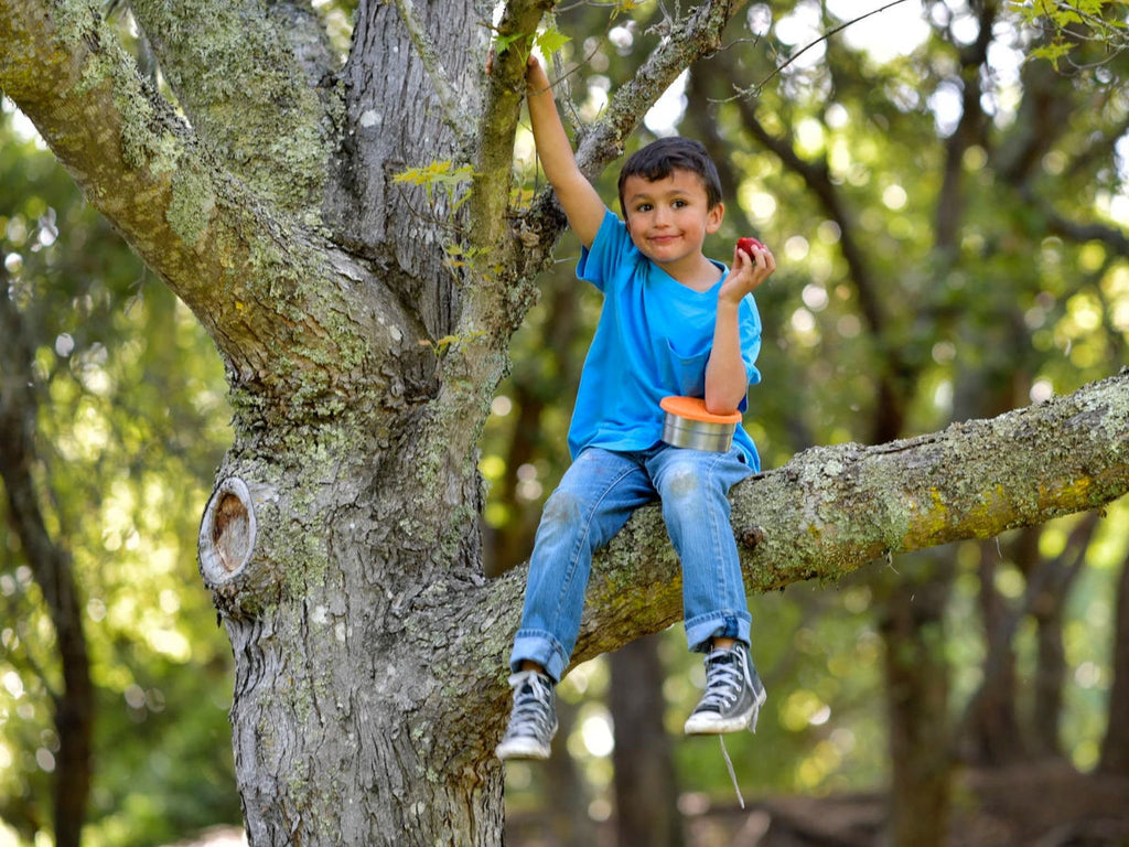 Boy in tree with strawberry to illustrate Our Favorite Backyard Campouts Tips