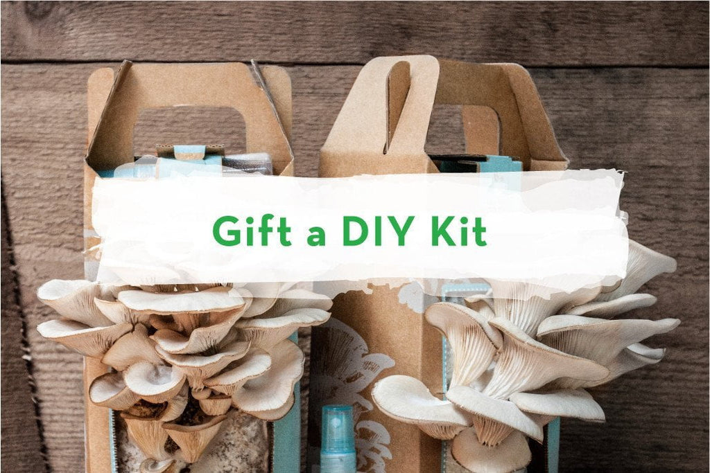 Green Gifts for DIY Lovers