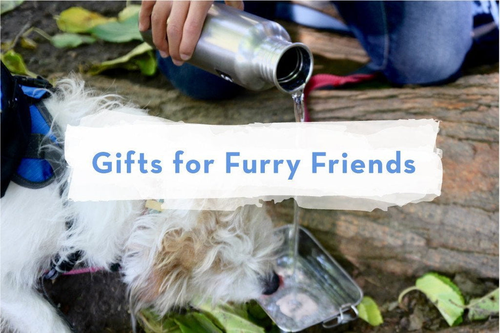 Green Gifts for Furry Friends