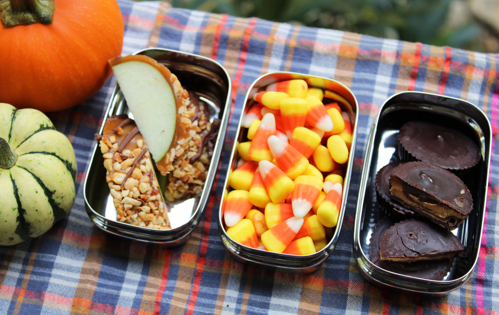 5 Cozy + Sustainable Lunchbox Recipes for Fall