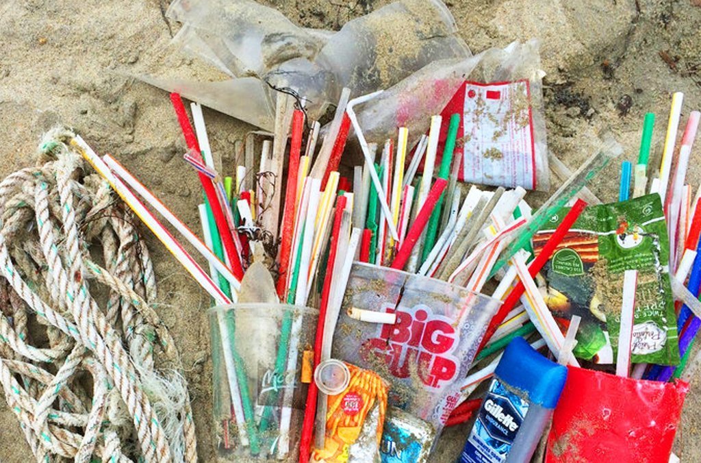 Single-Use Plastic Straws Reusable Zero Waste Living