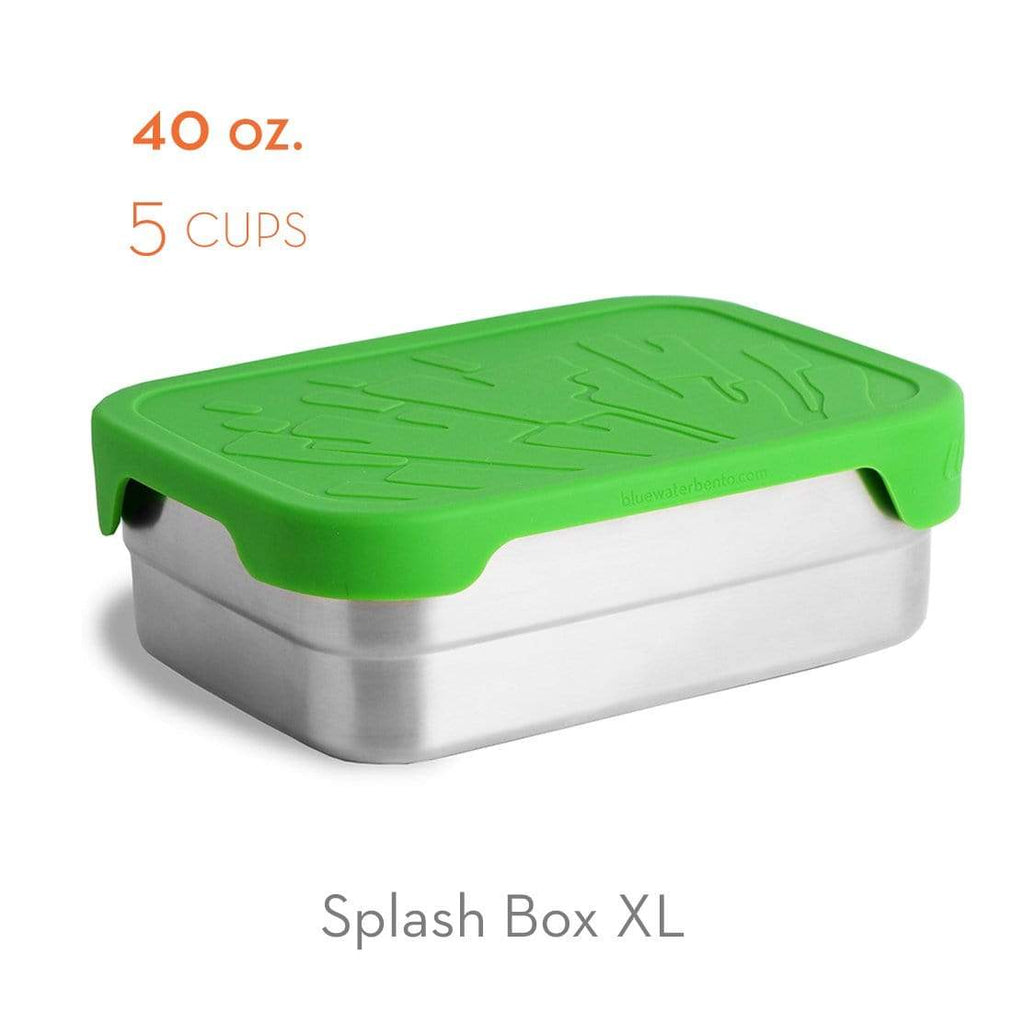 Bento School Lunches : Go Green Lunch Box Review and Christmas Present bento  lunch