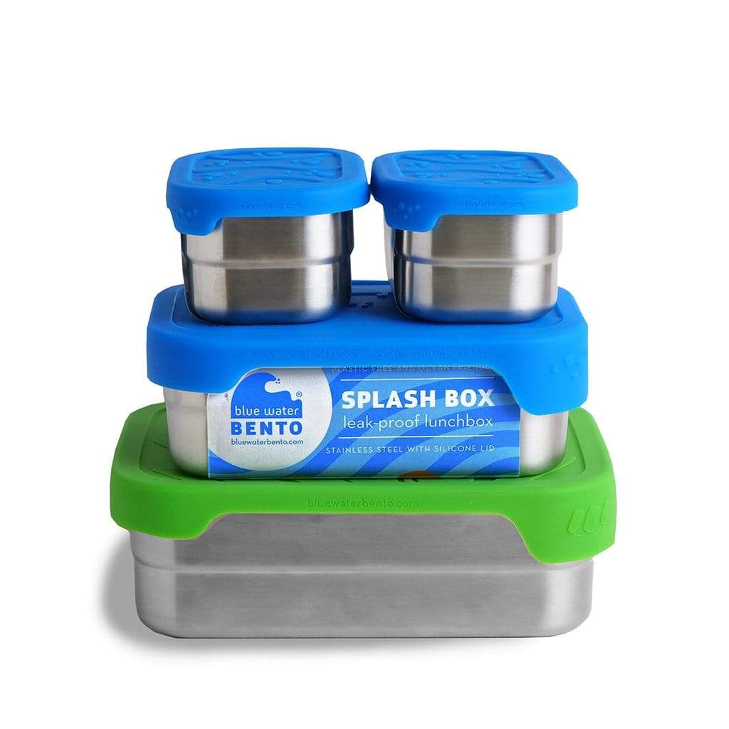 Splashbox Display ECOlunchbox Splash Box | XL Bento Lunch Box for Sale