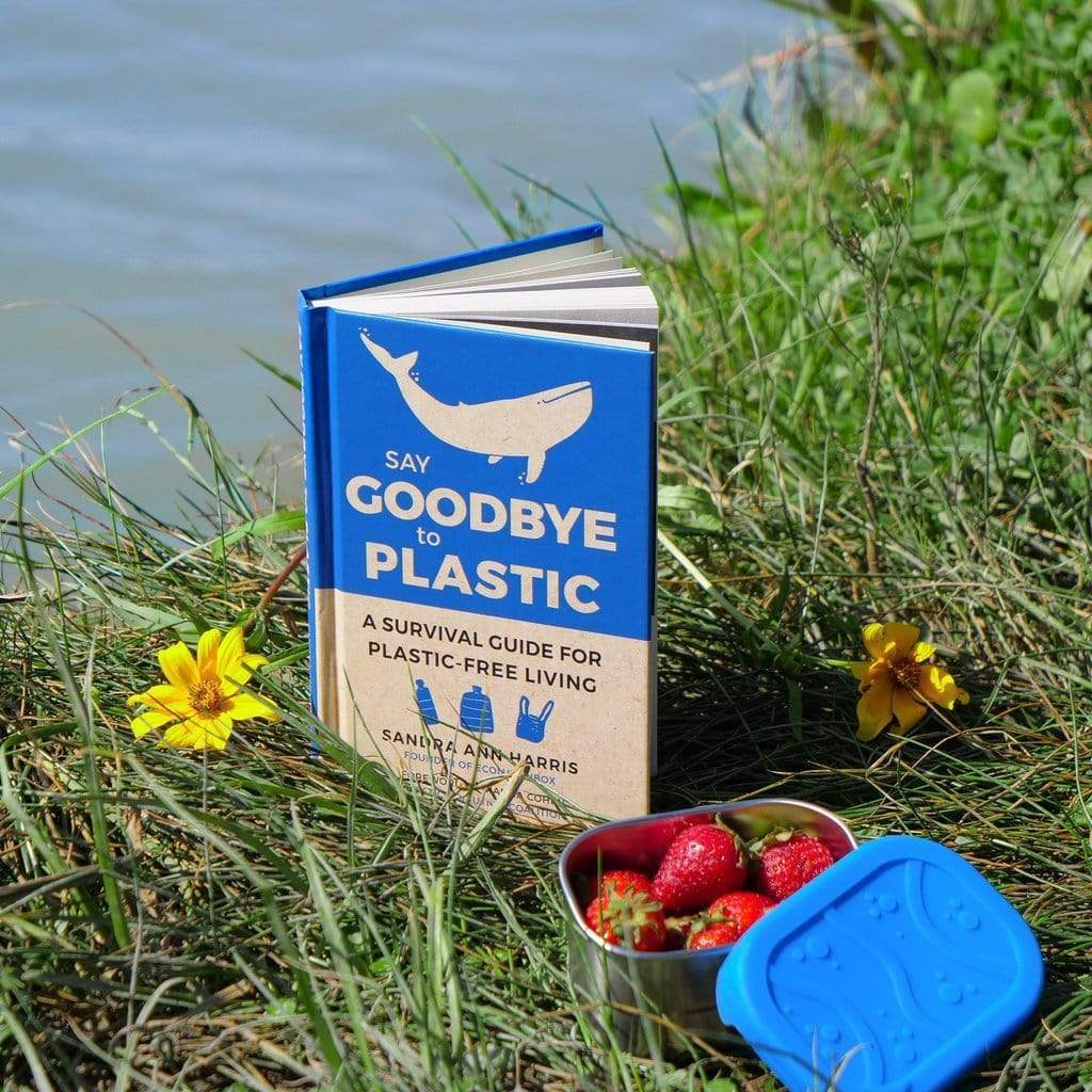ECOlunchbox Lunch Kits Goodbye Plastic Etched Gift Set